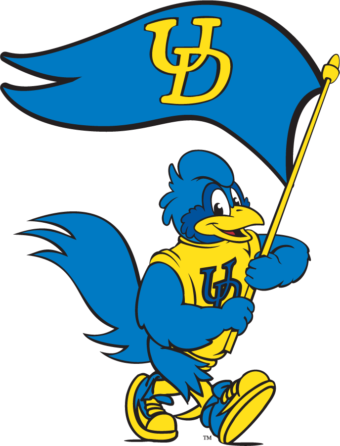 Delaware Blue Hens 1999-2009 Mascot Logo v16 diy iron on heat transfer